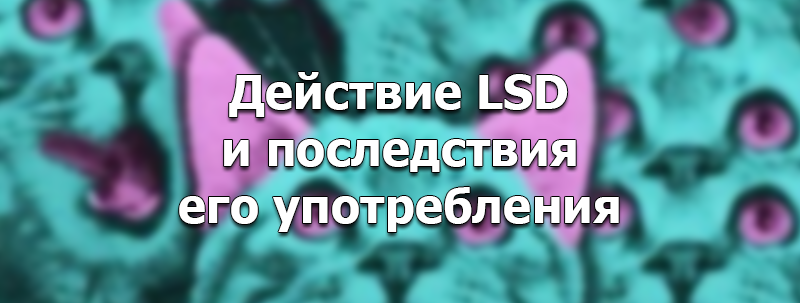 Действие LSD и последствия употребления