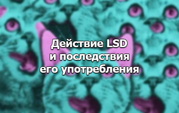последствия употребления LSD